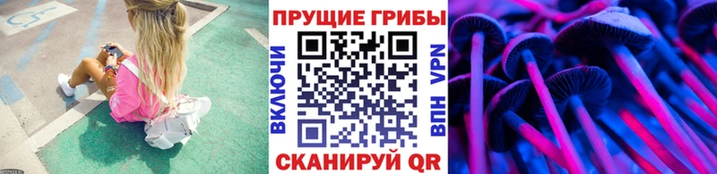 Галлюциногенные грибы Magic Shrooms продажа наркотиков Алзамай